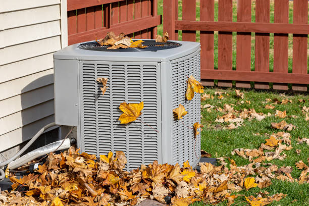 Best Local HVAC companies  in Drum Point, MD